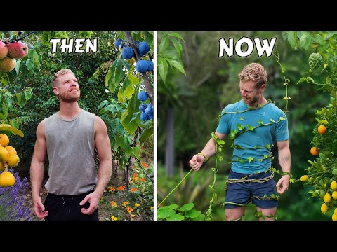 Видео: Я бросил свой лесной корм… Вот что случилось