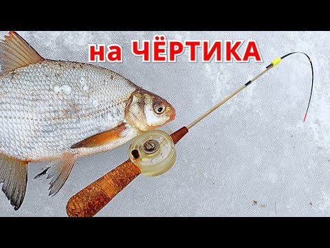 Видео: ЛУЧШИЕ ПРОВОДКИ ЧЁРТИКА. Рыбалка на паровоз на Истре.