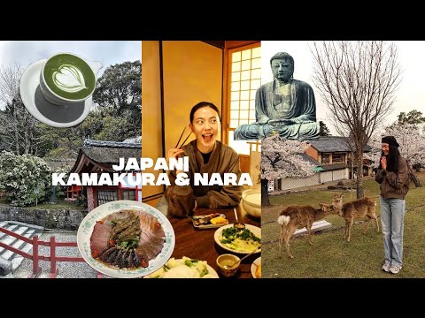 Видео: JAPAN VLOG: Камакура и Нара весной — сакура, храмы и встреча с оленями