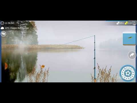 Видео: как быстро прокачать 25 ранг в my fishing world