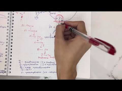 Видео: Гемостаз қазақша | Қан ұю жүйесі