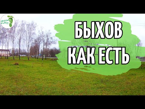 Видео: Быхов как есть. Улицы.