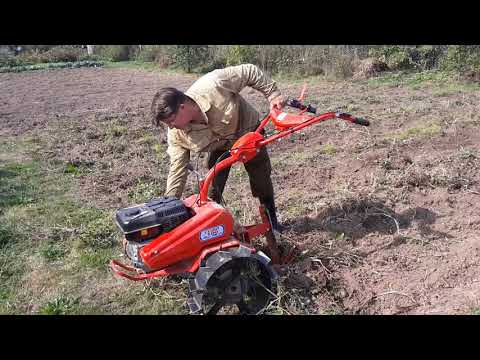 Видео: Мотоблоки Салют БС и Салют 100