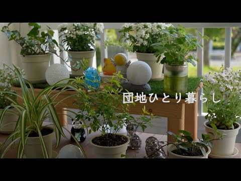 Видео: Жизнь с саженцами и комнатными растениями