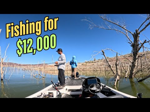 Видео: Справимся ли мы? Чемпионат Fishin48, день первый, на озере Аламо!