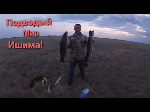 Видео: Подводная Охота в Казахстане! Карп добыт!