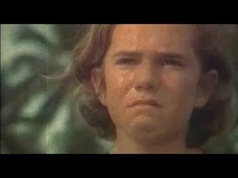 Видео: ВИА АРГОНАВТЫ - Печально Чайки Над Кормой Кружат (1976)