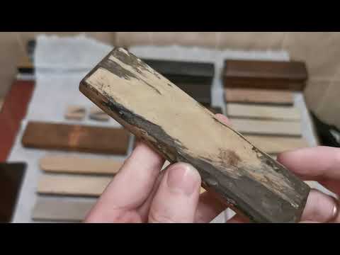 Видео: Бельгийский Котикул - продажа