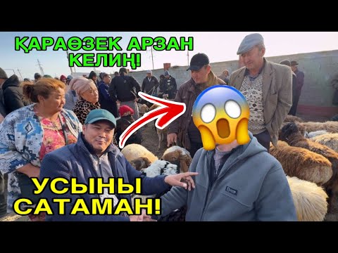 Видео: НЕРВҚА ТИЙМЕҢ! 22-ОКТЯБР ҚАРАӨЗЕК МАЛ БАЗАРЫ БАХАЛАРЫ ӨЗГЕРДИ!