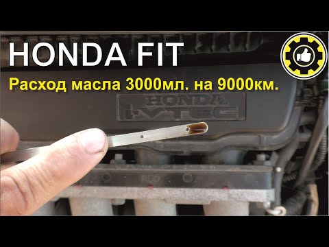 Видео: Жор масла. Эндоскопия L13A. Honda Fit GE6. (#AvtoservisNikitin)