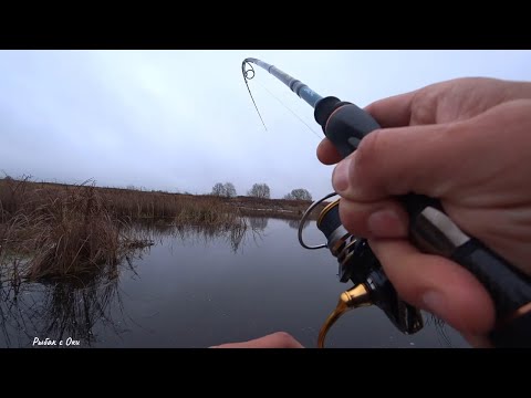 Видео: ТАКОМУ Радуешься КАК Ребенок! Рыбалка на Щуку с Берега на Спиннинг! Джиг-Твичинг!