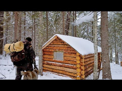 Видео: ПОХОД ДО ИЗБЫ, ПЕРВАЯ ДОБЫЧА С ЛАЙКОЙ. СТАВЛЮ КАПКАНЫ, ГОТОВЛЮ ДРОВА.