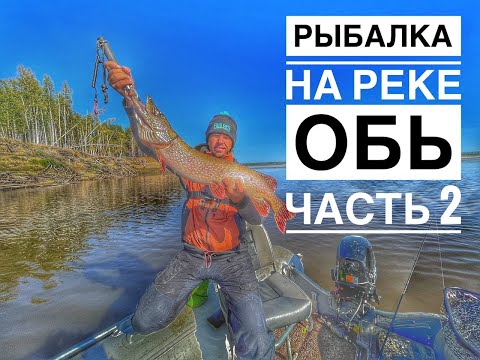 Видео: Наконец-то то нашли рыбу!!! Злые поклевки на р.Обь. ХМАО