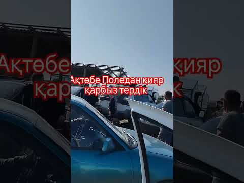 Видео: Ақтөбе ПОЛЕ қияр теру 2024