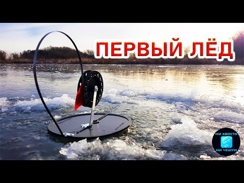 Видео: первый лёд 2024-2025! Раздает трофеи! Рыбалка на жерлицы зимой 2024-2025!