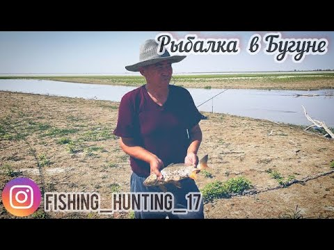 Видео: Рыбалка с ночёвкой | водохранилище Бугунь |Боген входной канал Боген
