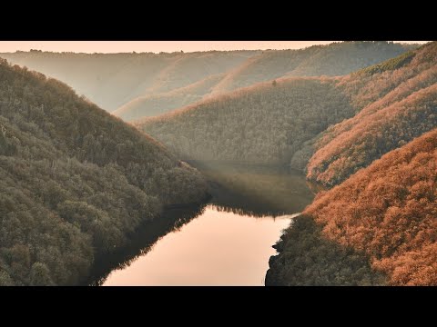 Видео: Като дървета насадени от Бога - П-р Александър Вълканов /ЕПЦ Пазарджик/