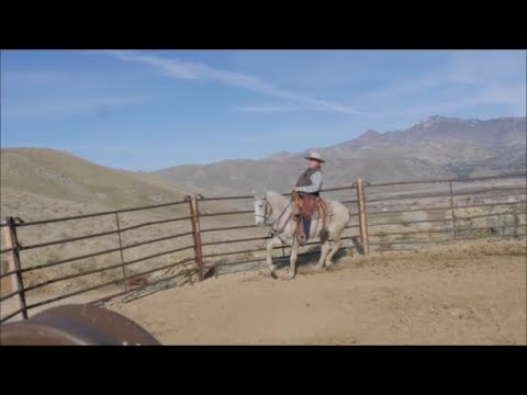 Видео: Остановка, откат и некоторые мысли о стадном эффекте