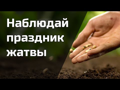 Видео: Детское служение 26 Октября 2025