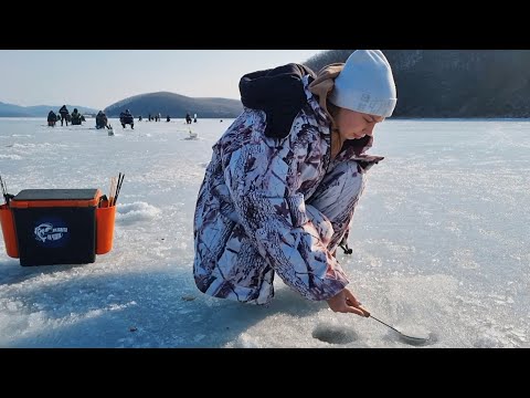 Видео: В поисках корюшки! Зимняя Рыбалка 2025! Корюшка на махалки.