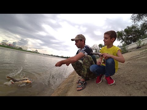 Видео: Рыбалка в центре АТЫРАУ. Дикий клев КАРПА