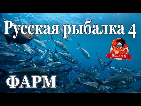 Видео: Русская рыбалка 4 Сломал топовую Катушку!!! ФАРМ на Норвежском море