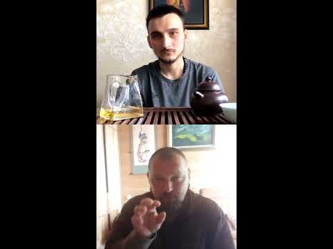 Видео: Илья Бадуров и Евгений Сауэр о Цигун, Тайцзи и вообще...