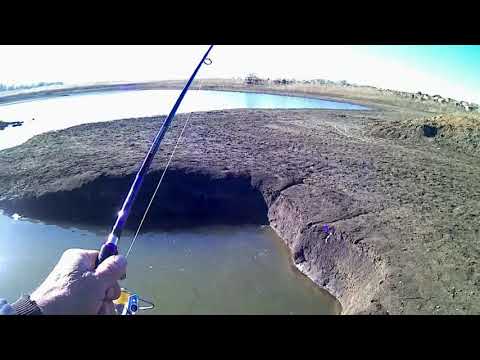 Видео: Спиннинг Johncoo thunderbolt  2.40,  и  остатки от старого богатого рыбой водоёма.