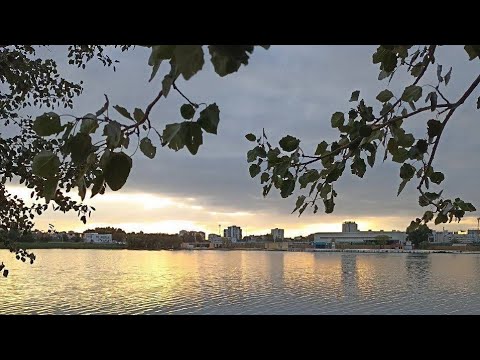 Видео: БЕЛГОРОД❗ВСЕМ МИРА!!! 🕊️