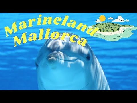 Видео: Henry and Robert visit Marineland in Mallorca. Генри и Роберт посещают дельфинарий на Майорке