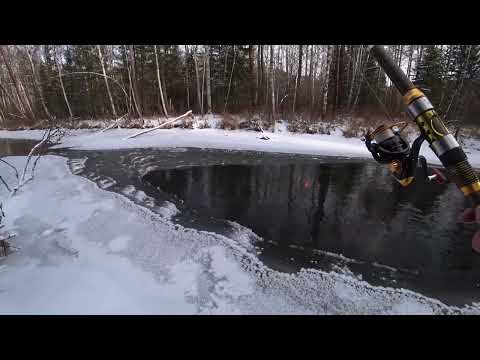 Видео: Ловля Хариуса  по Заберегам и Кромке Льда в Мороз!!!