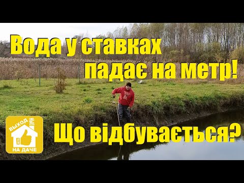 Видео: Вода 💧у ставках падає на метр😱! Що відбувається⚠️? Чому зникає вода 💧у ставках та водоймах 🌊?