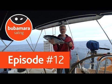 Видео: Bubamara sailing. episode #12. Из Италии в Черногорию