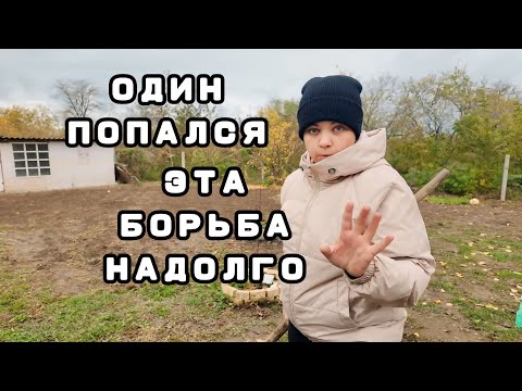 Видео: ЖИЗНЬ НА ЮГЕ в глуши | СЕМЬЯ ЖИВЕТ в старом ХУТОРЕ