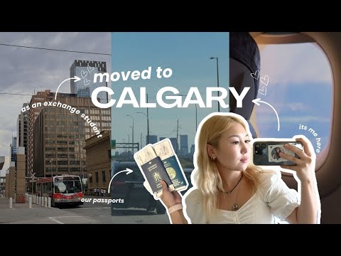 Видео: ПЕРЕЕХАЛА В КАНАДУ | VLOG: первая неделя как студент по обмену в Calgary, MRU