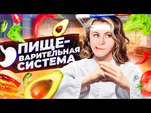 Видео: Пищеварительная система | Летний курс | БиоФАК 2022