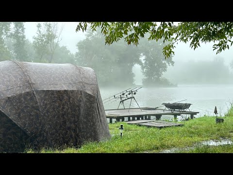 Видео: Ловля коропа в неймовірну спеку. Змагання Stalker на озері Підкова. Карпфішинг 2024