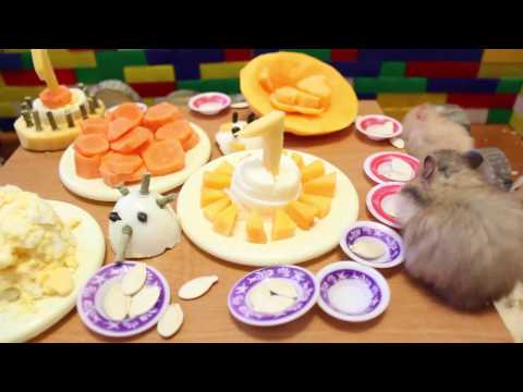 Видео: День рождения хомячков. Чернушатам 1 месяц. (Часть 2)