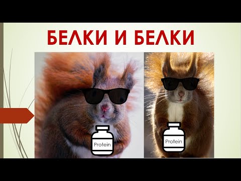 Видео: Омонимы