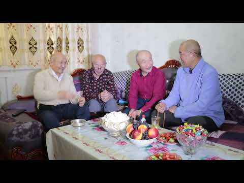 Видео: Хийморь овгийхны ярилцлага