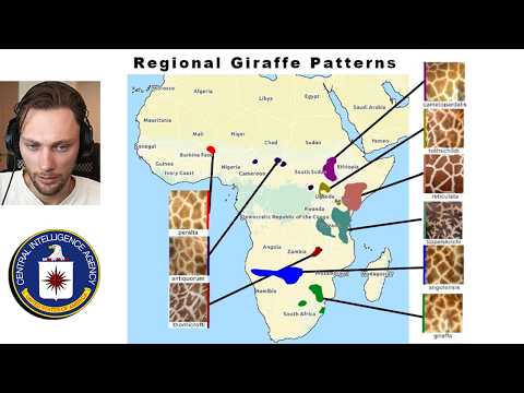 Видео: Я прошел тест (определенно не ЦРУ)