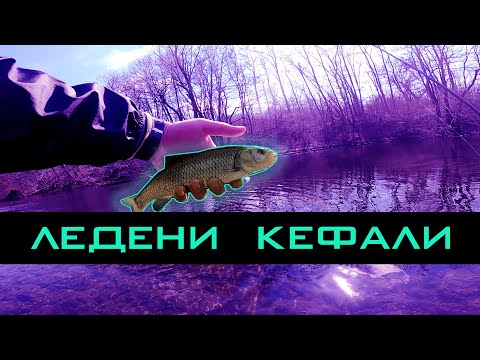 Видео: ЛЕДЕНИ КЕФАЛИ ПО ТУНДЖА!