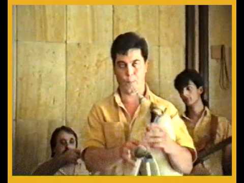 Видео: орк  Извор