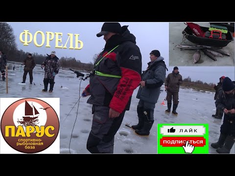 Видео: ПОГОДА ЖУТЬ ФОРЕЛЬ УГОВАРИВАЕМ ПАРУС-ЮГ