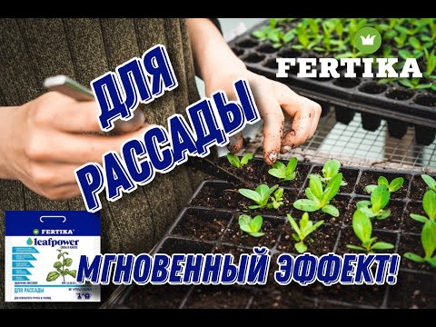 Видео: Фертика LeafPower для рассады – мгновенный эффект