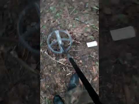 Видео: Xp Orx, тест , частота 4 кгц