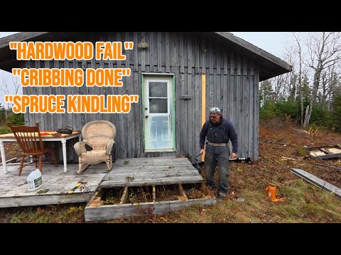 Видео: «Рабочие будни в домике: изготовление якорей закончено, гнилые лиственные породы и еловая растопк...