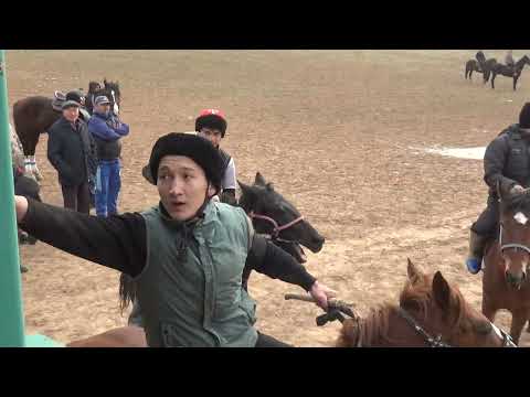 Видео: 13.12.2024 Сарыағаш Жылға ауылы Самат мырзаның елден бата алу көкпары