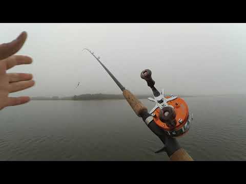 Видео: Мультипликатор лучше чем безинерционная катушка, это факт!!! (дерьмовый шнур от pantoon 21)