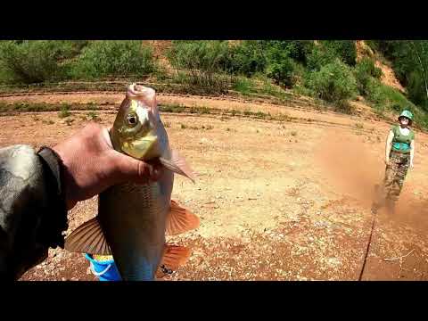 Видео: СУПЕР РЫБАЛКА в ПРОВОДКУ! Рыбалка на Вятке